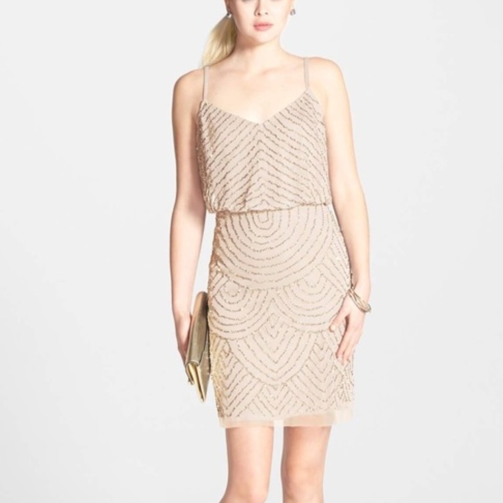 Stunning Adrianna Papell Sequin Mesh Blouson Dress